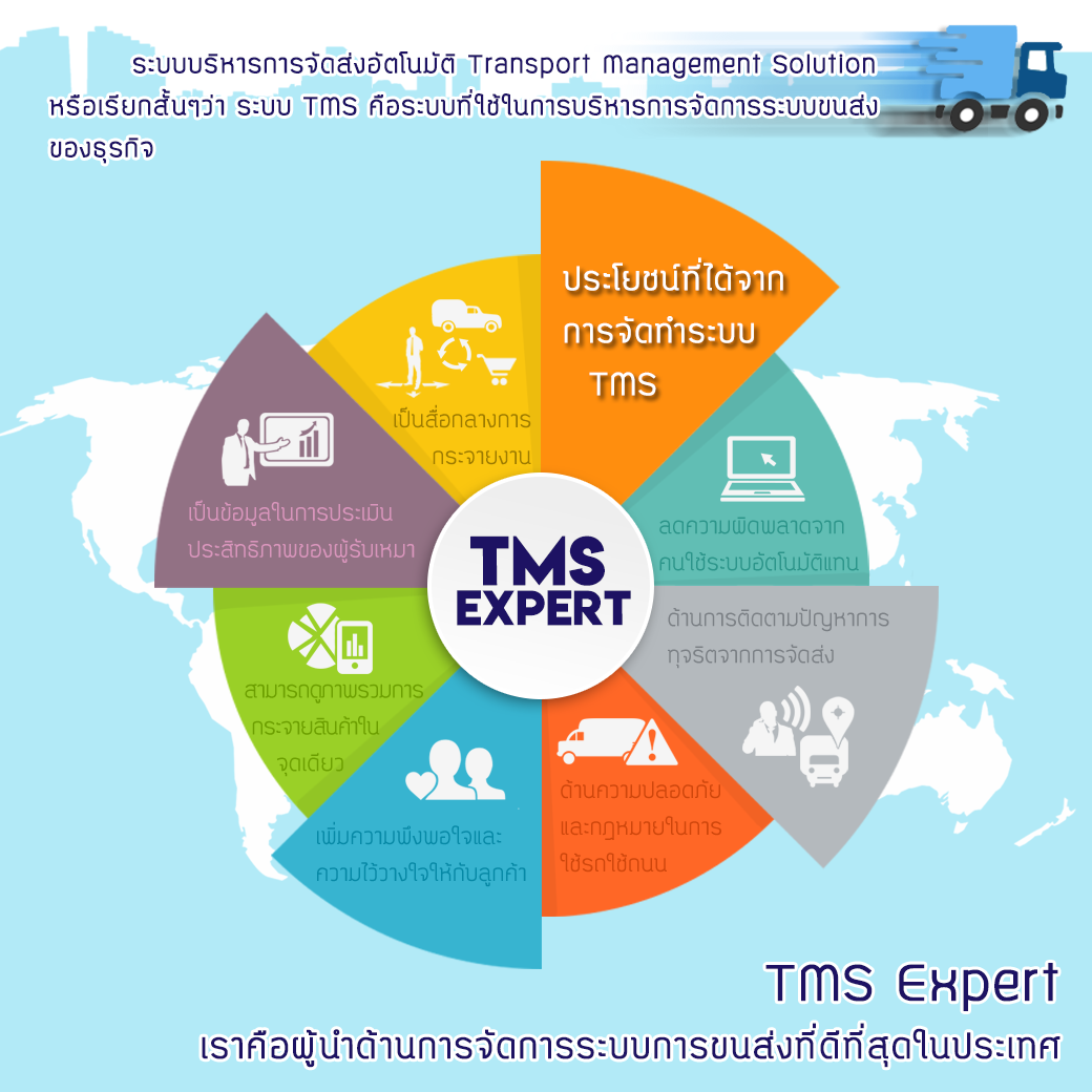 TMS Expert's Values